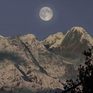 老婆把腿趴开给我看
